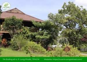 Review Xuân Trường Retreat – Trải Nghiệm Nghỉ Dưỡng Xanh