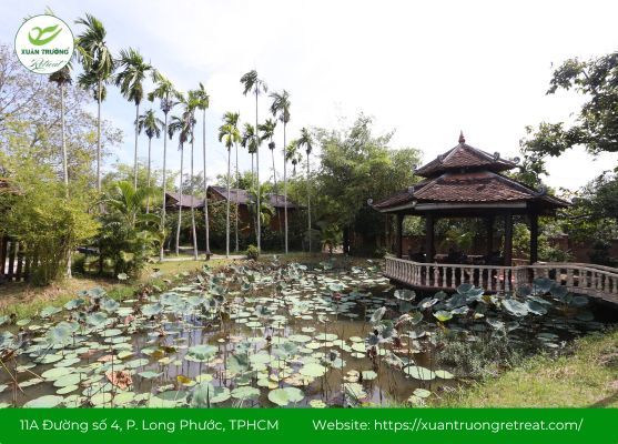 Hồ sen và vườn cây xanh tươi tại Xuân Trường Retreat