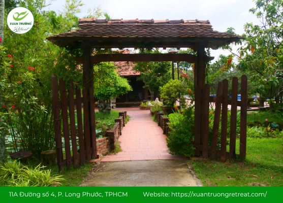 Hoạt động nhóm thư giãn và gắn kết tinh thần bên hồ bơi Xuân Trường Retreat