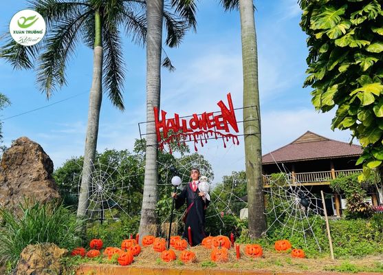 Cổng chào Halloween chào đón du khách bước vào khu vườn bí ngô rực rỡ