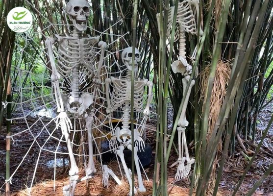 Bộ xương trắng giữa rừng trúc và mạng nhện khổng lồ