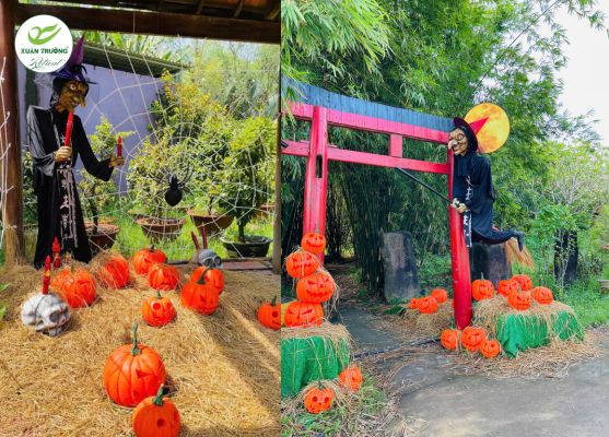 Tượng phù thủy giữa thảm bí ngô cam rực đầy màu sắc và năng lượng cho mùa lễ hội