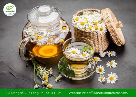 Trà hoa cúc thanh nhiệt, giảm viêm, hỗ trợ gan hoạt động tốt