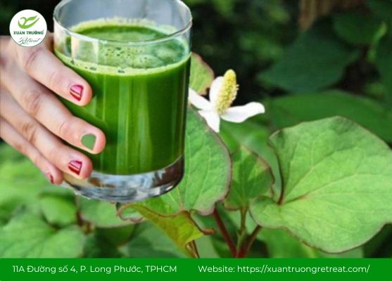 Rau diếp cá mát gan, đẹp da, hỗ trợ thải độc tự nhiên