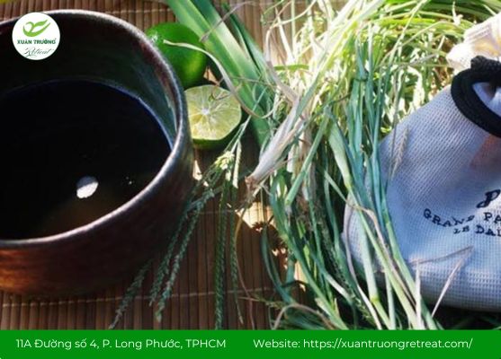 Cỏ mần trầu sắc uống giúp hỗ trợ ổn định huyết áp