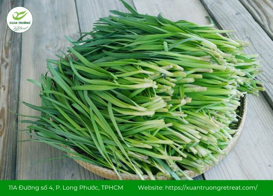 Tác dụng của lá hẹ chữa ho cho trẻ em trong dân gian