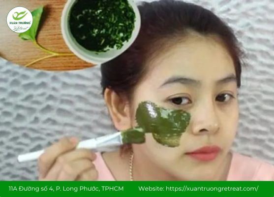Tác dụng rau diếp cá trị mụn và làm đẹp da hiệu quả