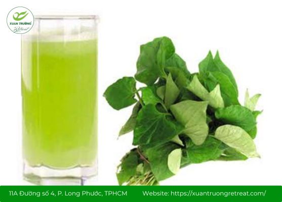 Uống nước rau diếp cá trị mụn giúp thanh lọc cơ thể