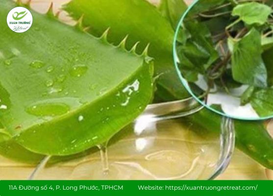 Rau diếp cá trị mụn kết hợp gel lô hội dịu da