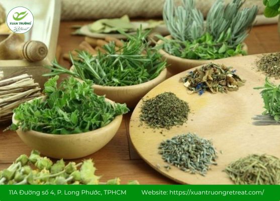 Thảo dược Nam bản địa phù hợp cơ địa người Việt