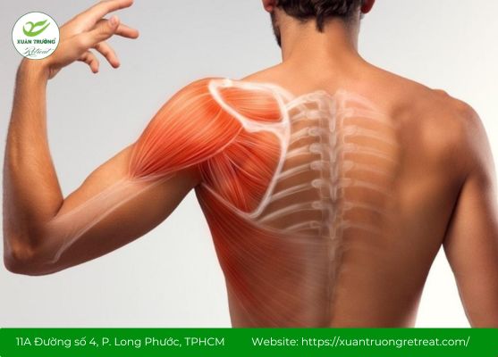 Khám phá ý nghĩa và nguồn gốc tên gọi huyệt Bỉnh Phong.