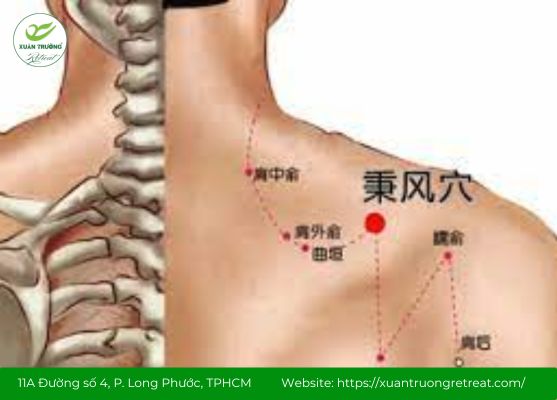 vị trí huyệt Bỉnh Phong trên cơ thể người