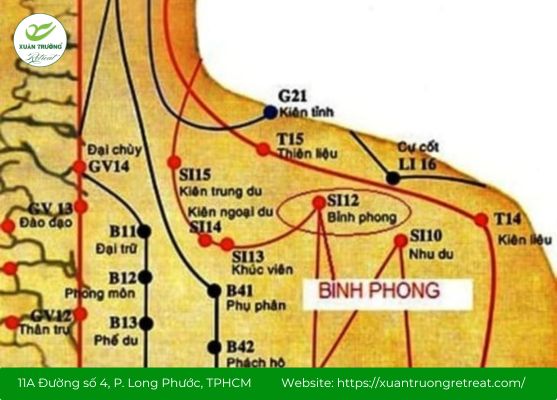 Huyệt Bỉnh Phong