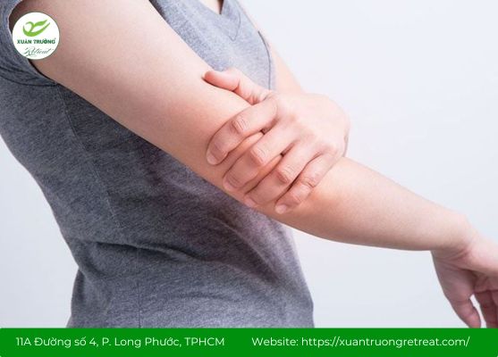 Tác dụng điều hòa khí huyết và cải thiện sức khỏe toàn thân