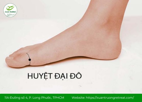  Vị trí của huyệt Đại Đô trên ngón chân cái