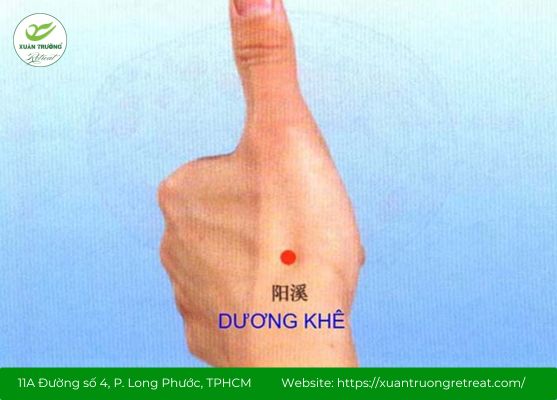 Vị trí huyệt Dương Khê trên cổ tay người