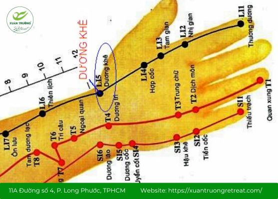 Tác động huyệt Dương Khê giúp cải thiện tuần hoàn khí huyết