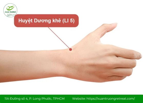 Huyệt dương khê