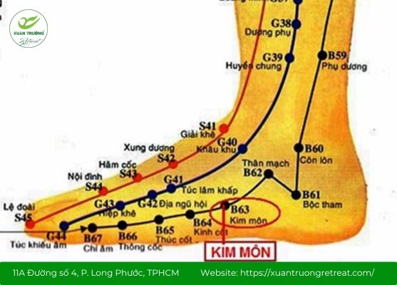 Xác định đúng vị trí huyệt Kim Môn để bấm hiệu quả