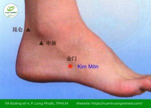 huyệt Kim Môn