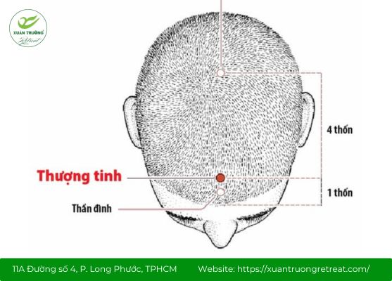 huyệt Thượng Tinh
