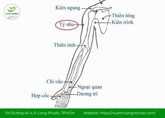 Huyệt Tý Nhu trên cánh tay giúp cải thiện tuần hoàn