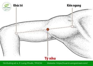 Huyệt Tý Nhu