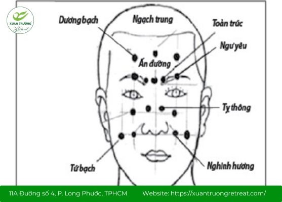 Huyệt Tỵ Thông nằm trong khoang miệng, kích thích dây thần kinh mặt
