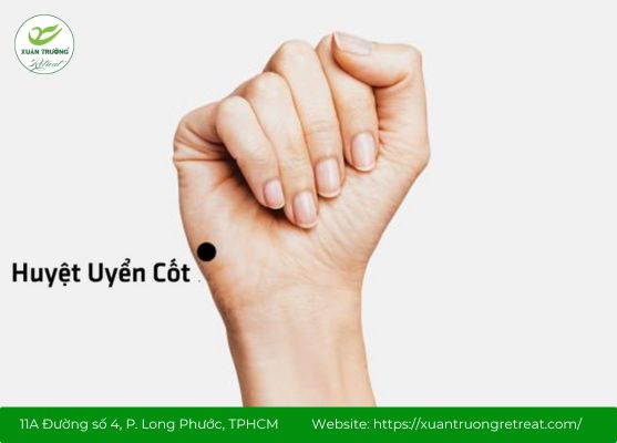 Huyệt Uyển Cốt – trung tâm cân bằng cơ thể và khí huyết