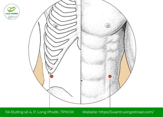 Tác động huyệt Chương Môn giúp cải thiện tiêu hóa