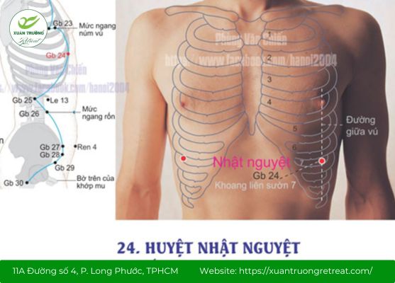 Khai thông huyệt Nhật Nguyệt giúp tuần hoàn khí huyết