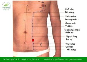 huyệt vùng bụng