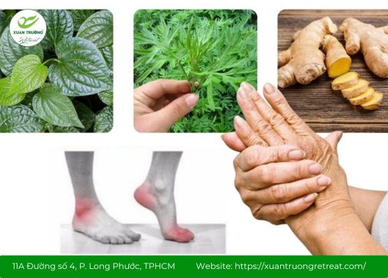 cây thuốc nam chữa bệnh tê tay chân