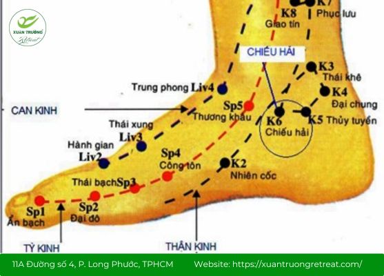 Vị trí của huyệt Chiếu Hải trong y học cổ truyền