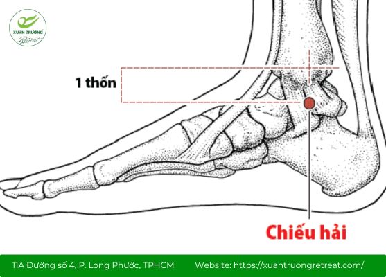 Huyệt Chiếu Hải