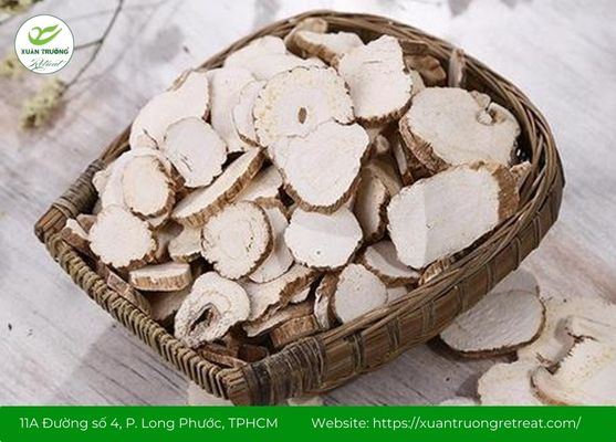 Bạch chỉ – Vị thuốc giúp giảm đau đầu và làm thông xoang