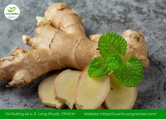 Gừng – Thảo dược trị viêm xoang vị ấm giúp giảm nghẹt