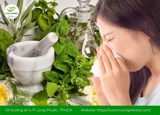 thảo dược trị viêm xoang