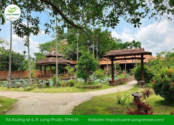 Dạo bước giữa rừng cây và hồ sen trong sắc nắng sớm