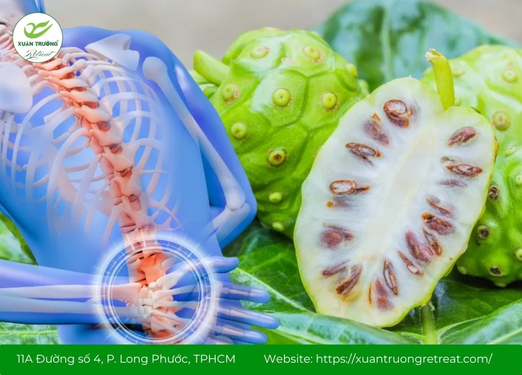 Cách ngâm trái nhàu trị đau lưng