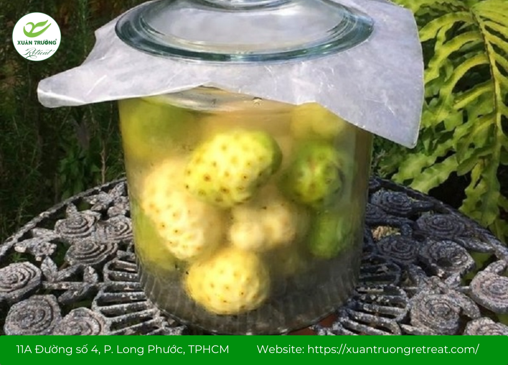 Cách ngâm trái nhàu trị đau lưng dễ thực hiện tại nhà