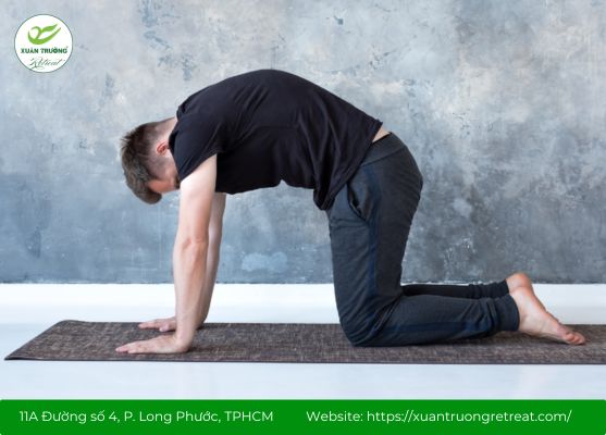 Tư thế mèo và bò vận động cột sống linh hoạt, giảm stress hiệu quả