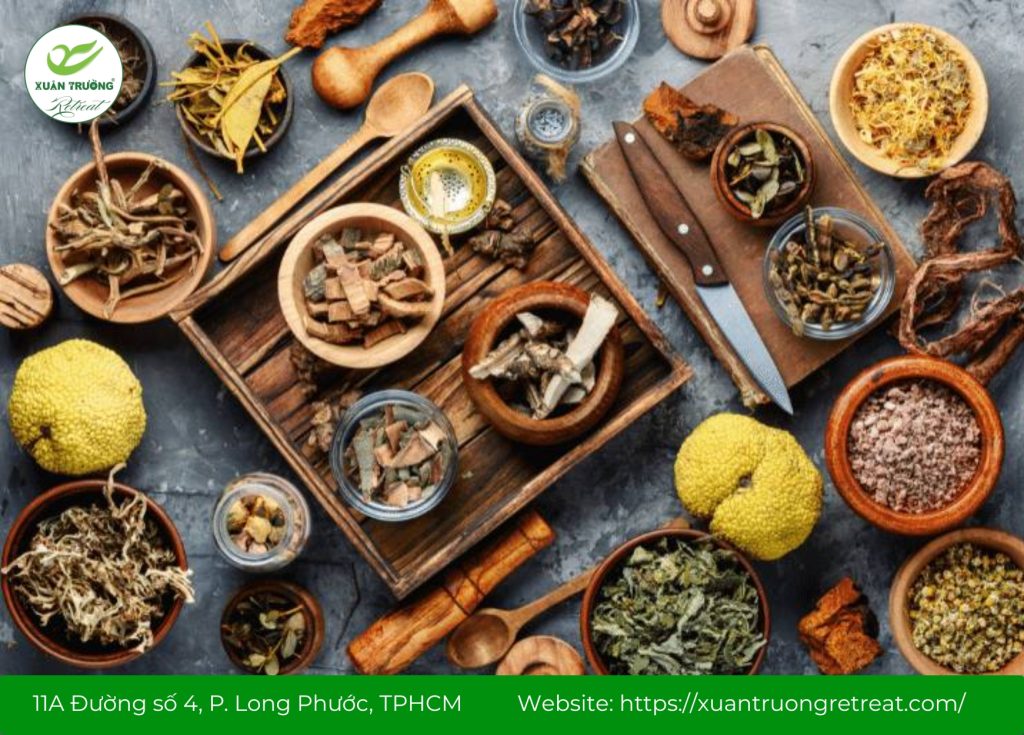 cây thuốc nam chữa mất ngủ