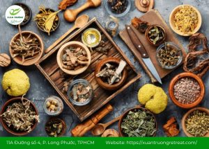 cây thuốc nam chữa mất ngủ