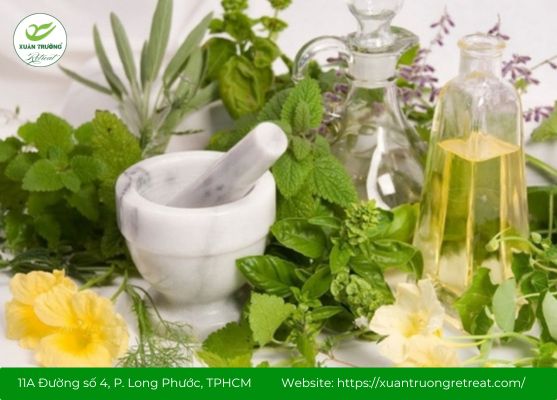 cây thuốc nam chữa viêm loét dạ dày tá tràng