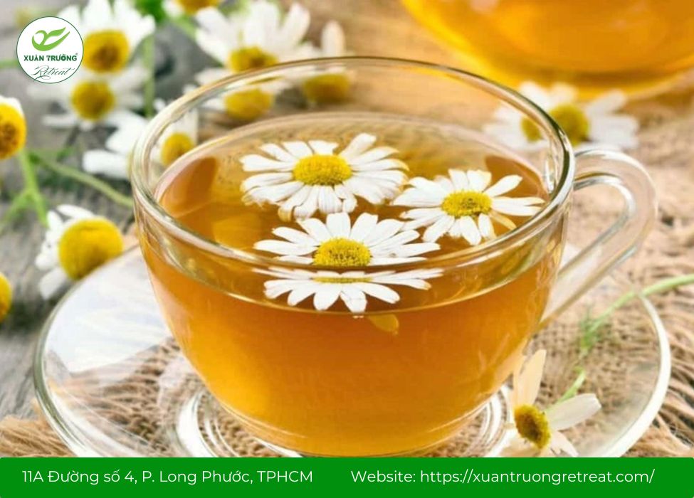 Hoa cúc – cây thuốc Nam giải độc gan, thanh nhiệt và thư giãn tinh thần.