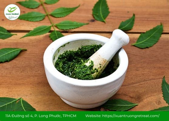 thuốc Nam trị tiêu chảy