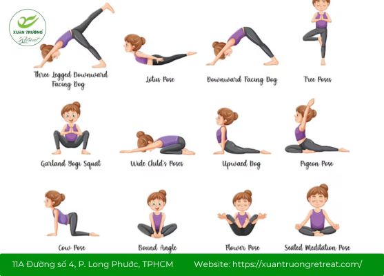 Các tư thế yoga dễ tập, phù hợp nhiều đối tượng
