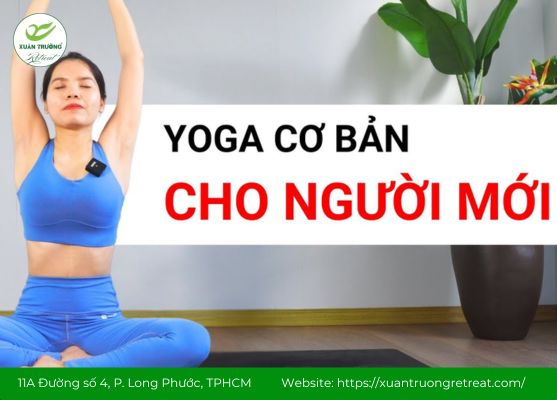 Yoga cho người mới bắt đầu dễ thực hiện, mang lại hiệu quả