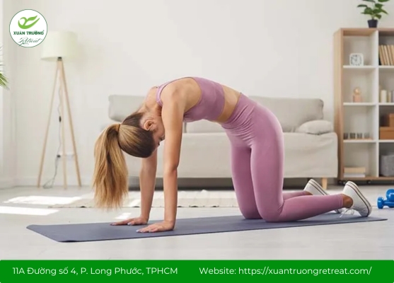 Động tác con mèo giúp yoga giảm stress, thư giãn cột sống và hơi thở